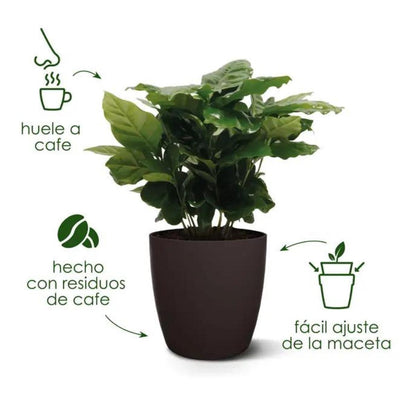 Coleção Elho Coffee Vaso Redondo Reciclado 16 cm