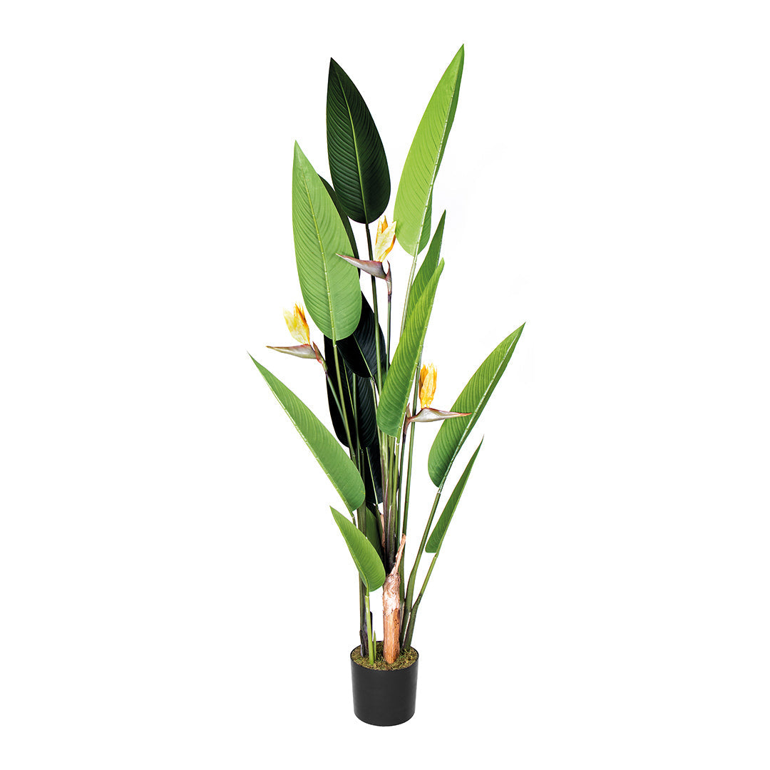 Planta Artificial Ave Del Paraíso - Decoración Sin Mantenimiento 1.85 M / Multicolor_1