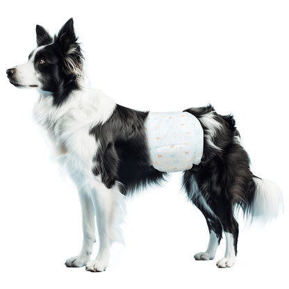 Fraldas Nobleza para cães machos, tamanho L, 10 unidades
