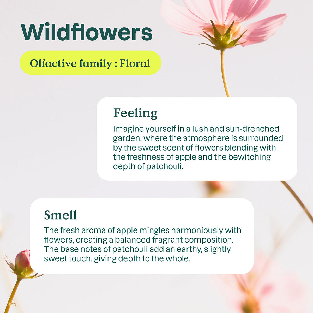 - Recarga de detergente para roupa Wildflowers Nature + Technology 2 L 80 lavagens