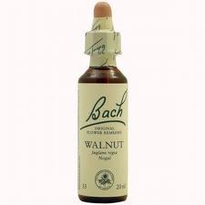 Bach 33 Noz Noz 20 Ml (Noz) Bach