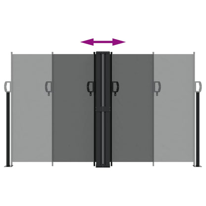 Toldo Lateral Retráctil Gris Antracita 140x1000 Cm_3
