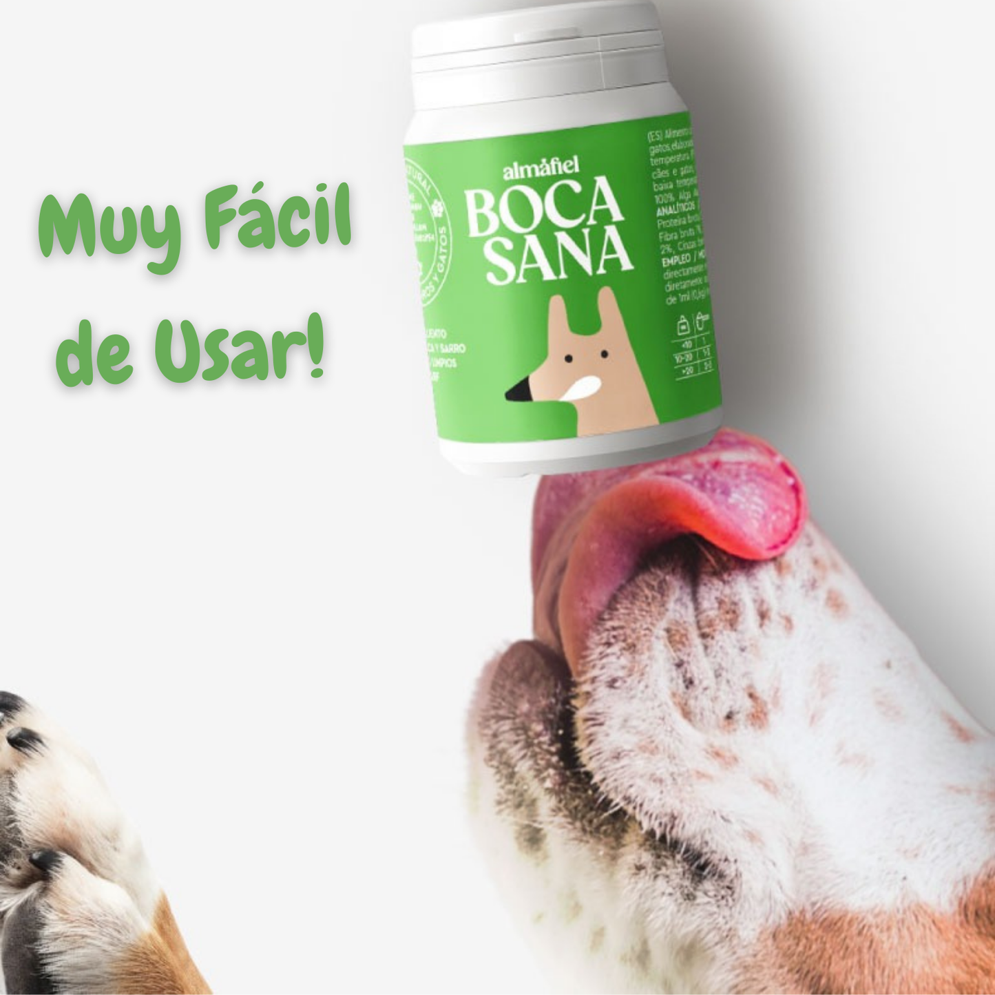 Boca Sana | Ascophyllum Nodosum | Higiene Dental De Perros Y Gatos_5