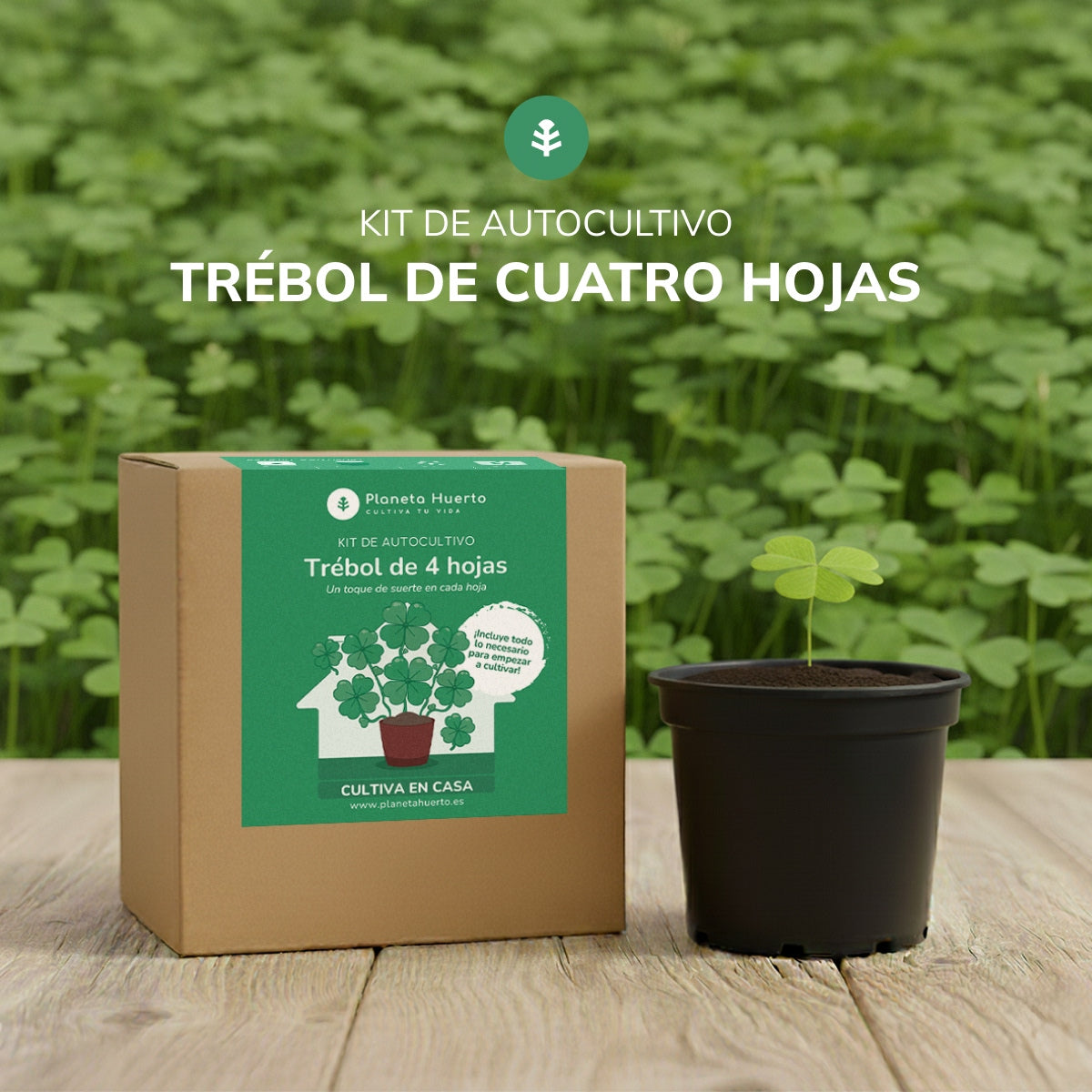 Kit de autocultivo de trevo de 4 folhas Planeta Huerto