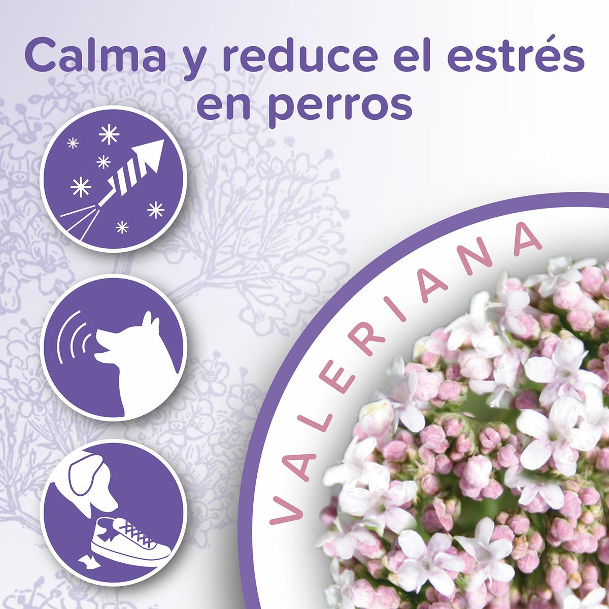 Coleira calmante natural Beaphar para cães 65 cm