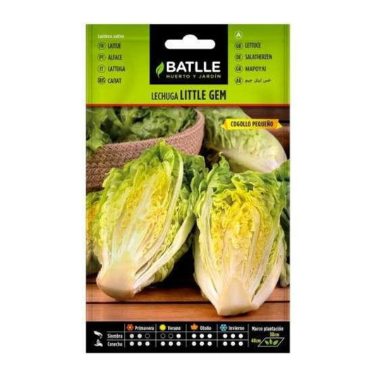 Sementes de alface Little Gem