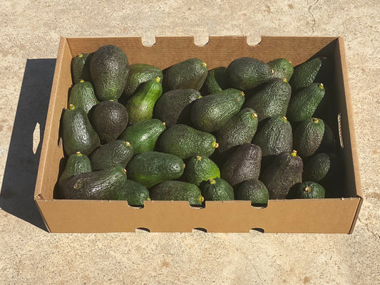 Aguacates Hass Fruta Española De Temporada Tropitop 10kg_0