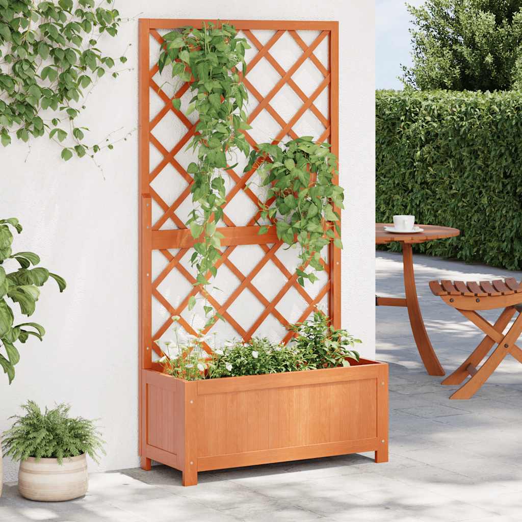 Jardinera Con Enrejado Marrón 70x30x135 Cm Madera Maciza De Abeto_1