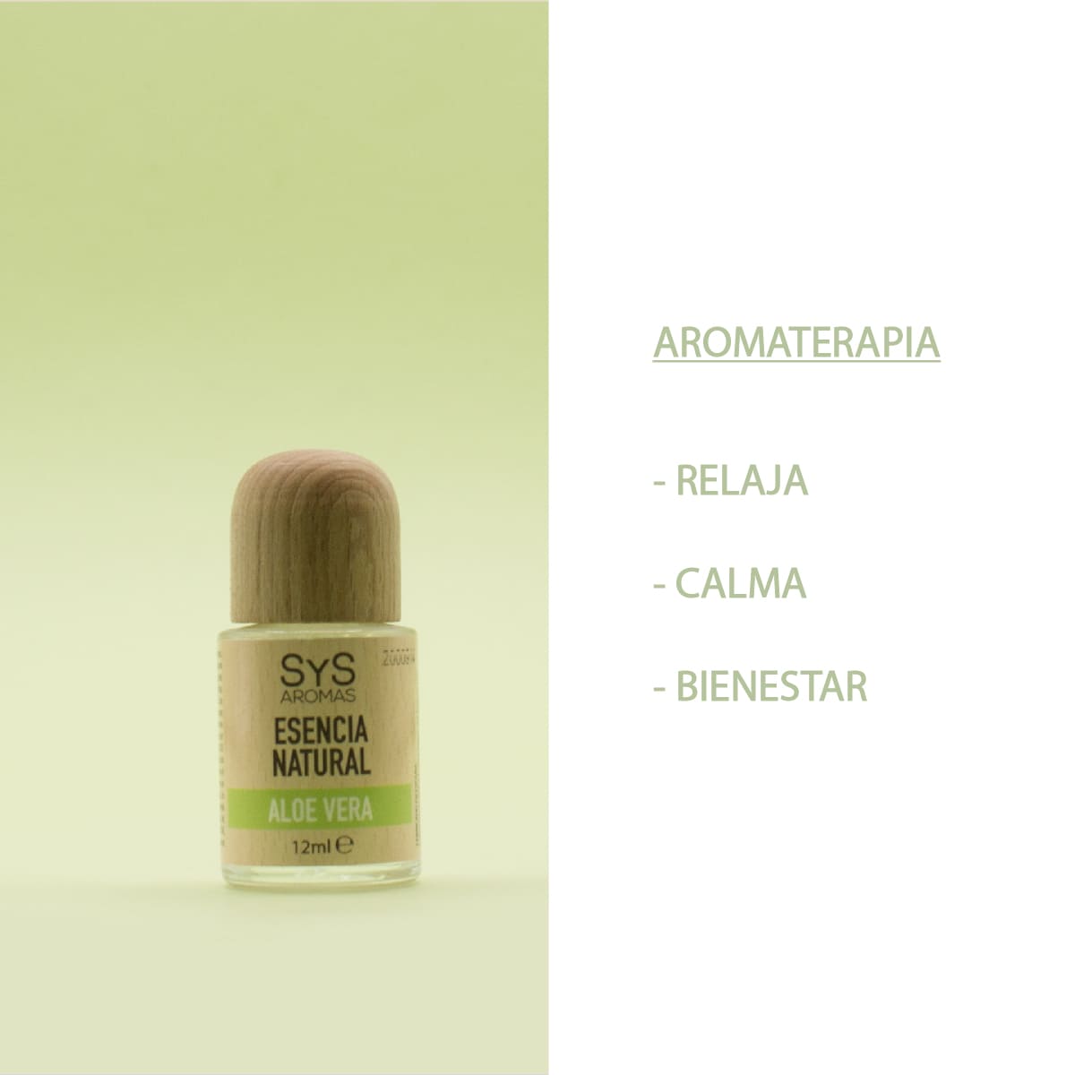 Esencia Aromática Aloe Vera 12 ml | Aroma Fresco y Natural | Perfume Concentrado | Uso en Difusores_4