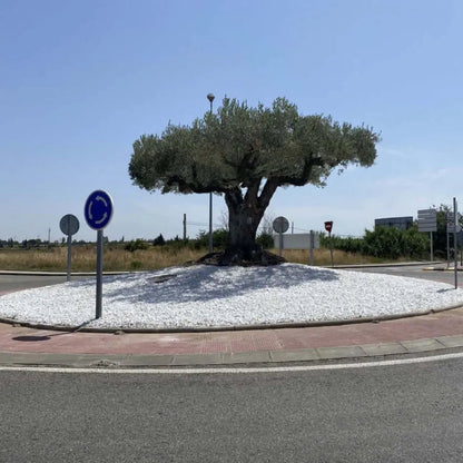 Grava Blanca Premium / Saco 20 Kg. / 8-12 Mm_4
