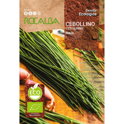 Sementes de cebolinho biológico Rocalba Praga