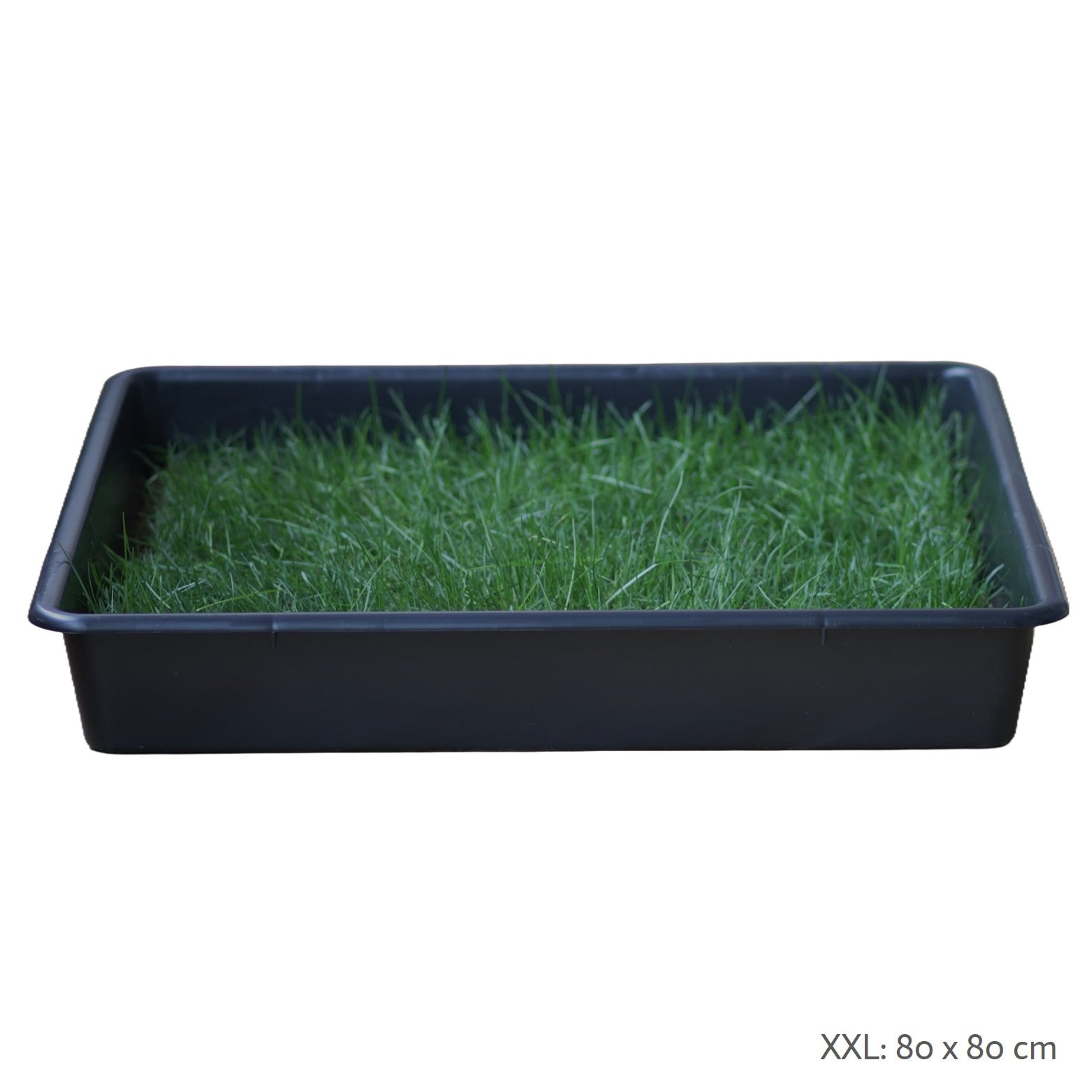 Petground, Arenero Para Gatos, Cama De Césped Natural, Hierba Gatera, Alfombra Olfativa Xl Xl: 117 X 40 Cm_1