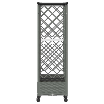 Cama Elevada Con Trellis Y Techo Gris Claro 164 X 40 X 127 Cm_3