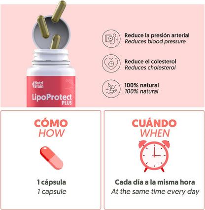 Lipoprotect Plus Con Monacolina K Para Colesterol Nutribrain 60 Cápsulas_4
