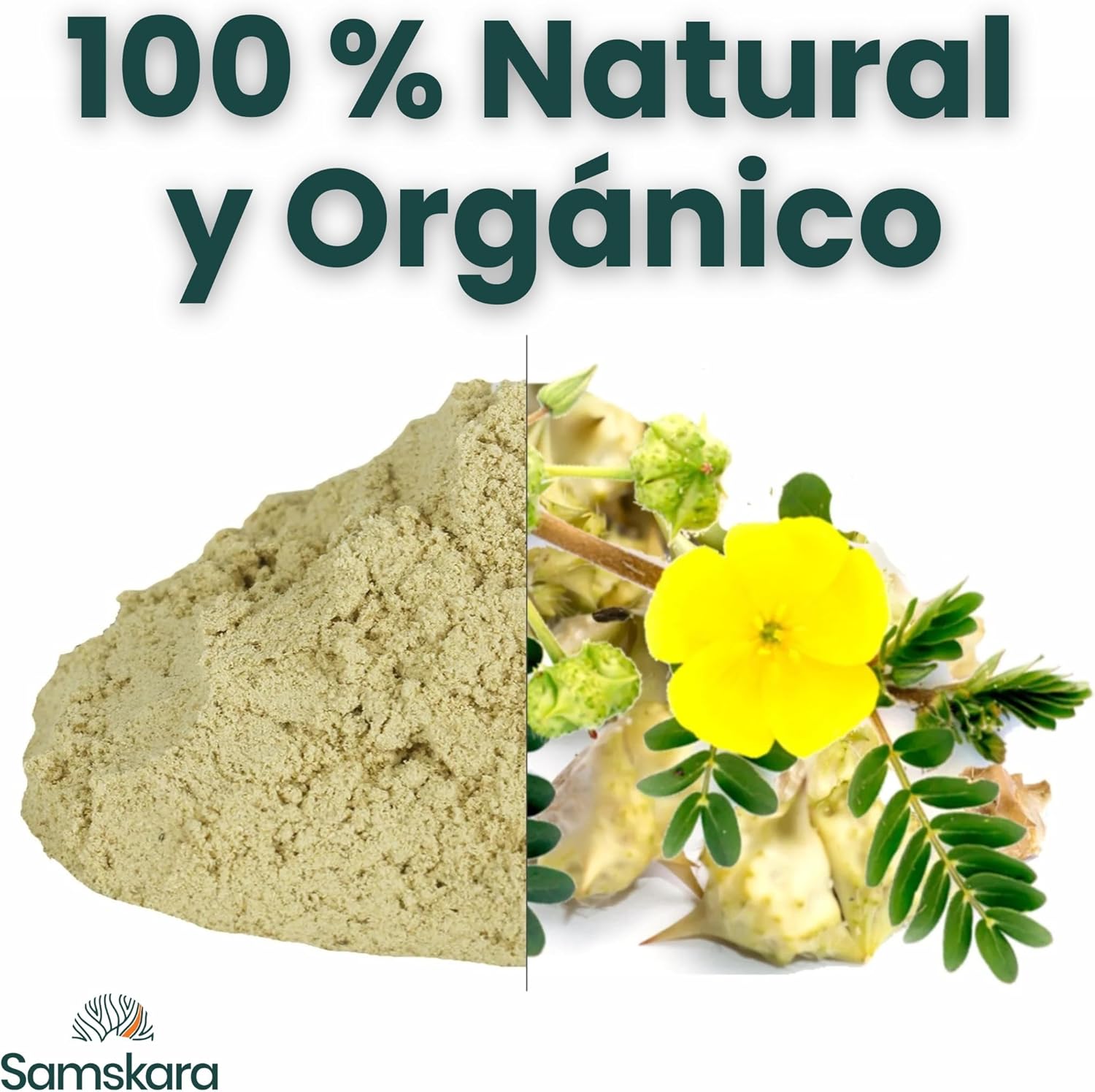 Tribulus Terrestris En Polvo Bio - 150g | Superalimento Ecológico Vegano Para Batidos, Smoothies Y Zumos_2