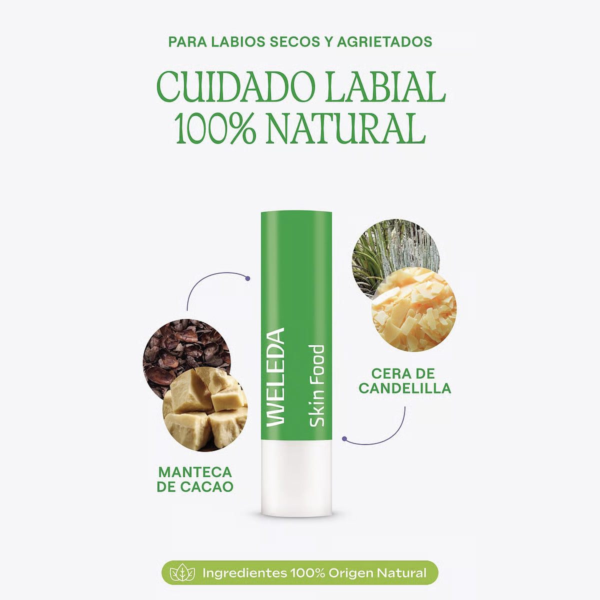 Stick Labial Skin Food Weleda 4,8g