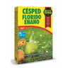 Sementes de erva-anão Fitó 500g