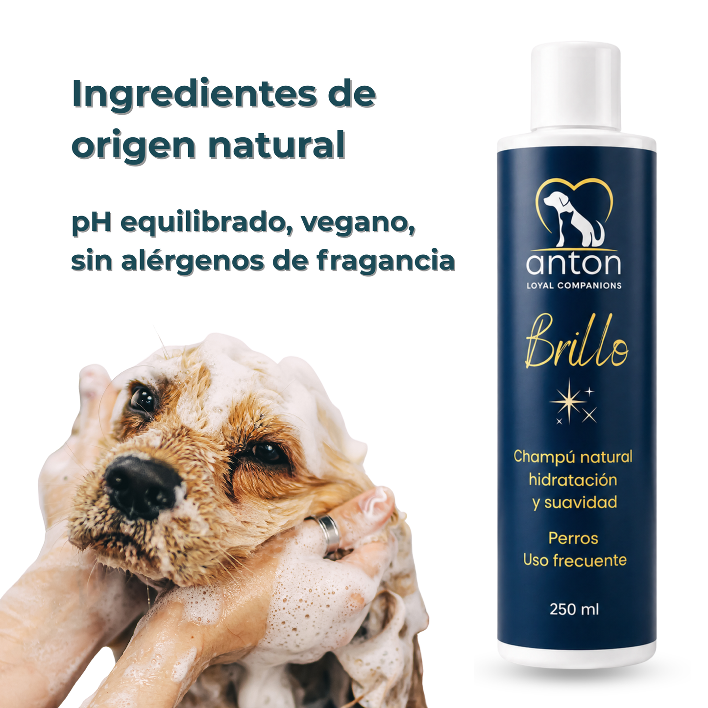 Champú natural para el cuidado del pelaje de perros – Pack 3 x 250 ml_4