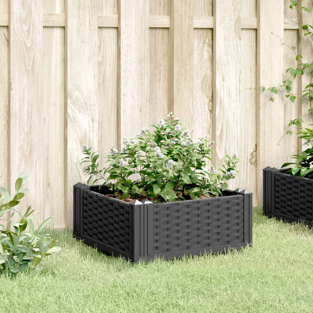 Jardinera Con Clavijas Pp Negro 42,5x42,5x28,5 Cm_2