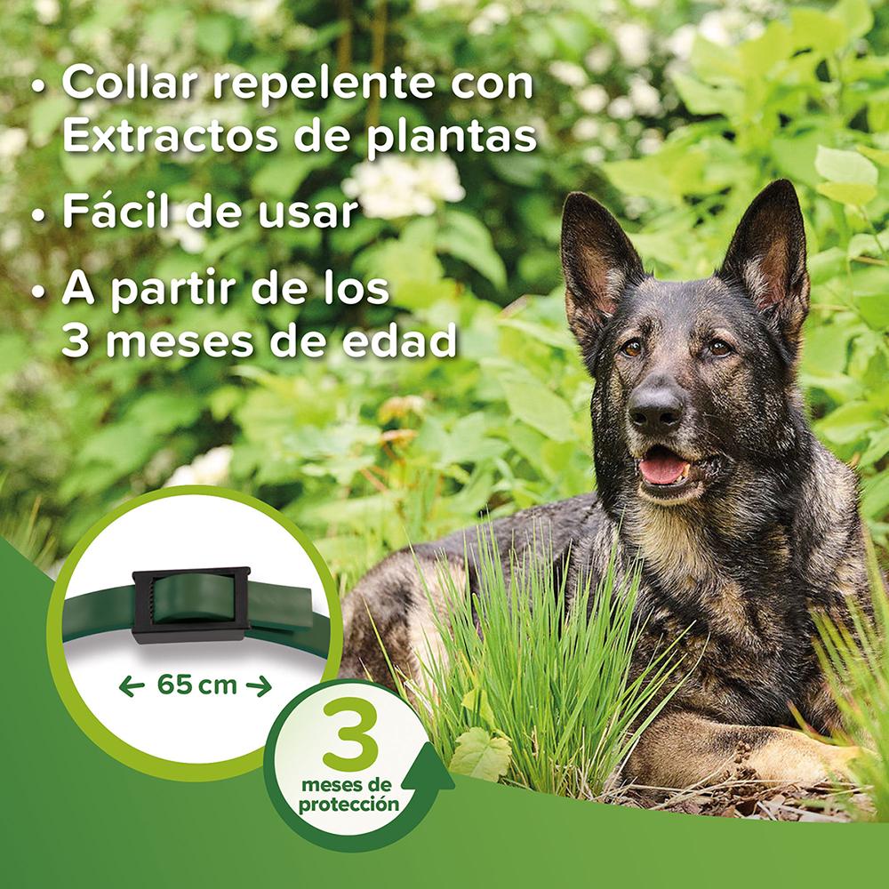 Coleira repelente Beaphar Bio Band para cães 65 cm