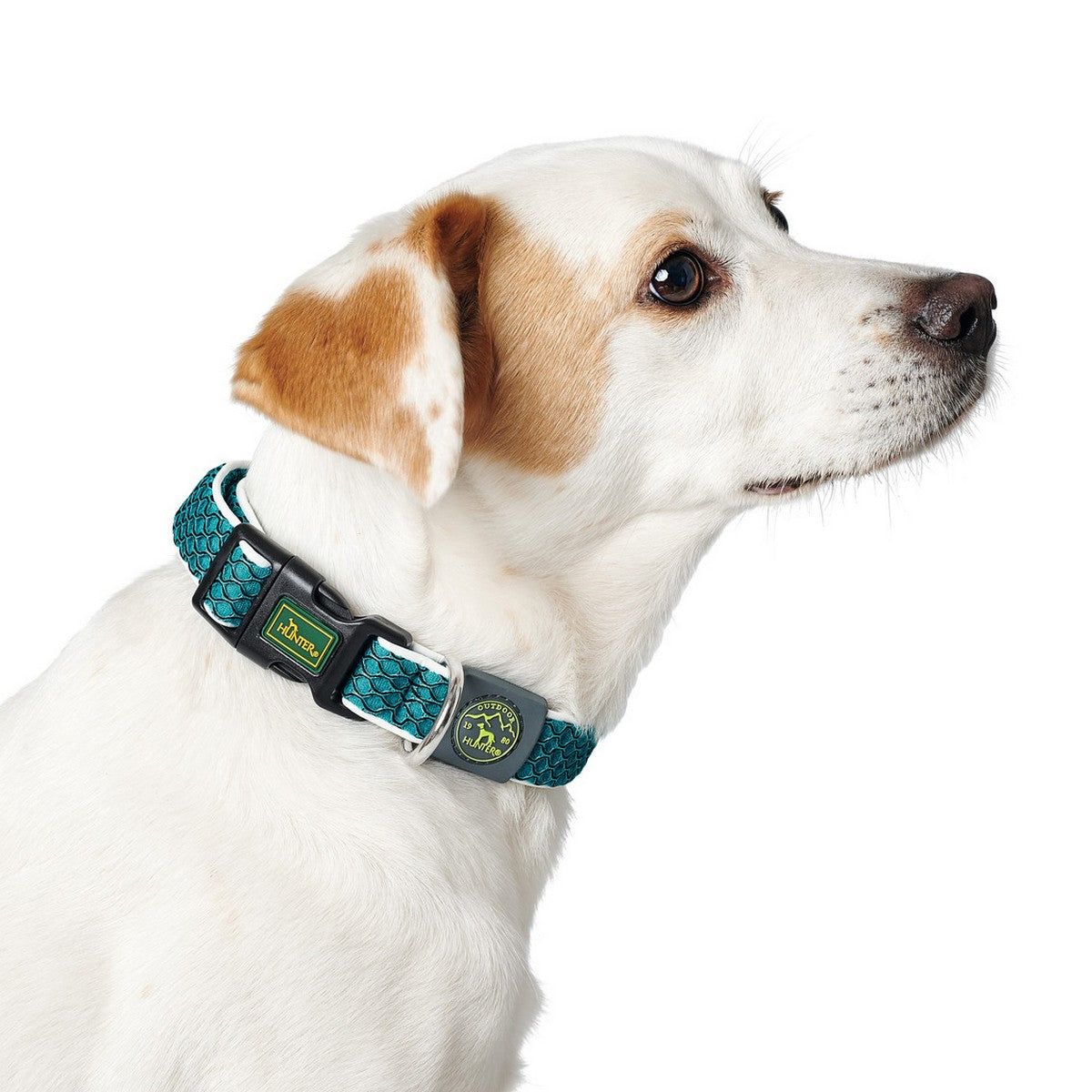 Collar Para Perros Hunter Vario Basic Hilos Marrón Talla S (30-43 Cm)_0