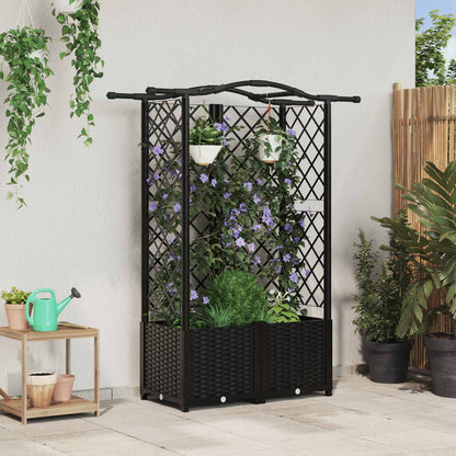 Cama Elevada Con Trellis Y Techo Negro 122 X 40 X 138 Cm Pp_1
