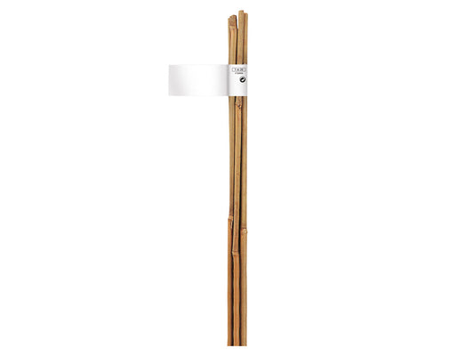 Tutor De Bambu 6-8 Mm 0,6 M Nortene_0