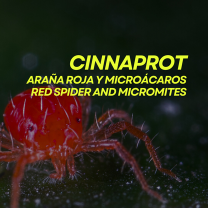 Tratamiento ecológico contra araña roja en plantas Cinnaprot Plus Prot-Eco (30 ml)+pipeta dosificadora 5 ml gratis_3