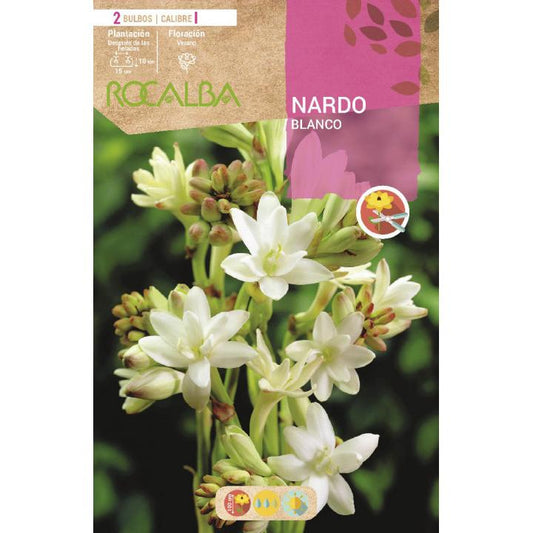 Tuberosa Branca 2 unidades
