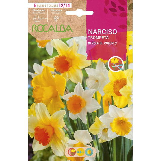Mistura de bolbos de trombeta de narciso 5 unidades Rocalba