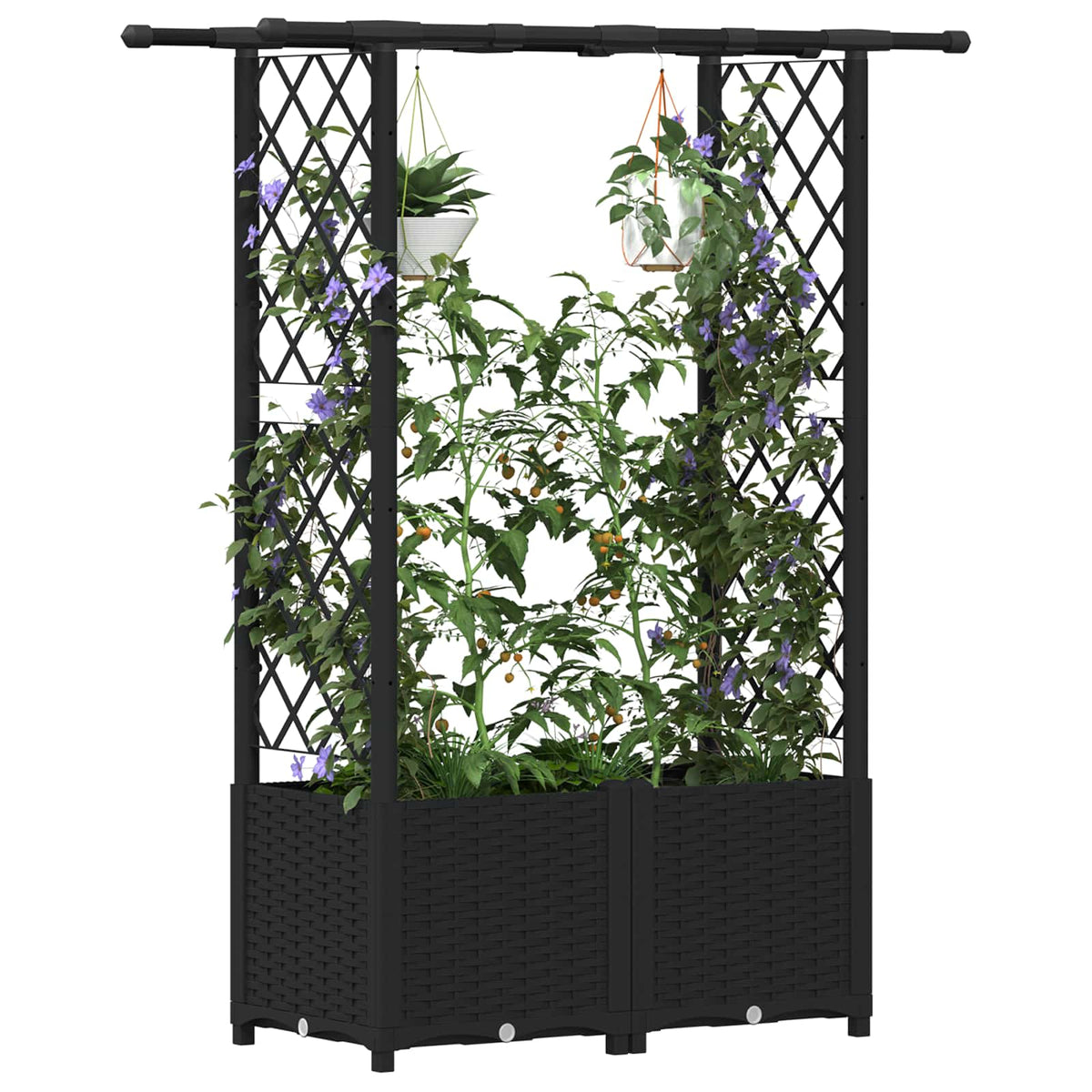 Cama Elevada Con Trellis Y Techo Negro 124,5 X 40 X 136 Cm Pp_2