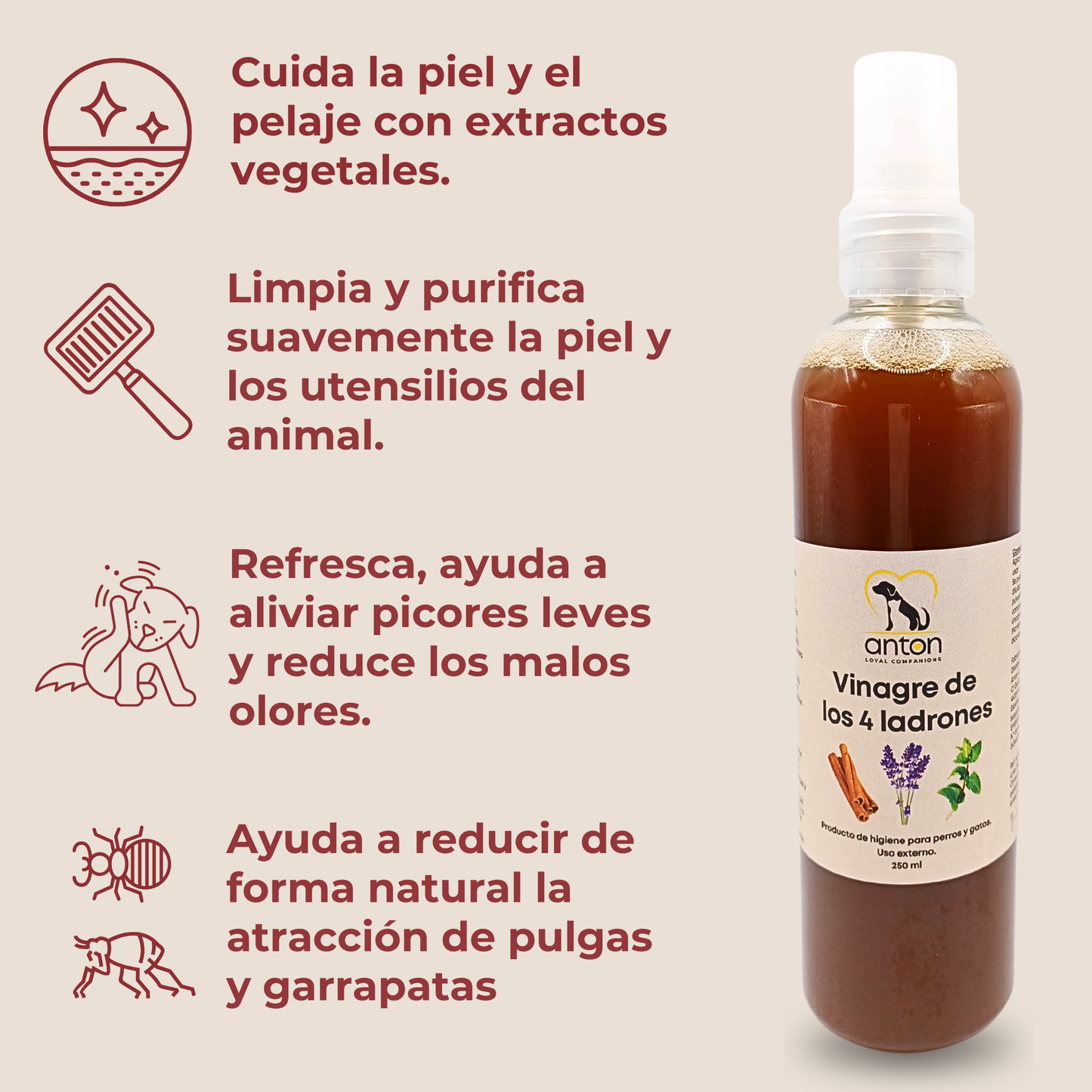 Vinagre de los 4 Ladrones para Perros y Gatos – 250ml_3