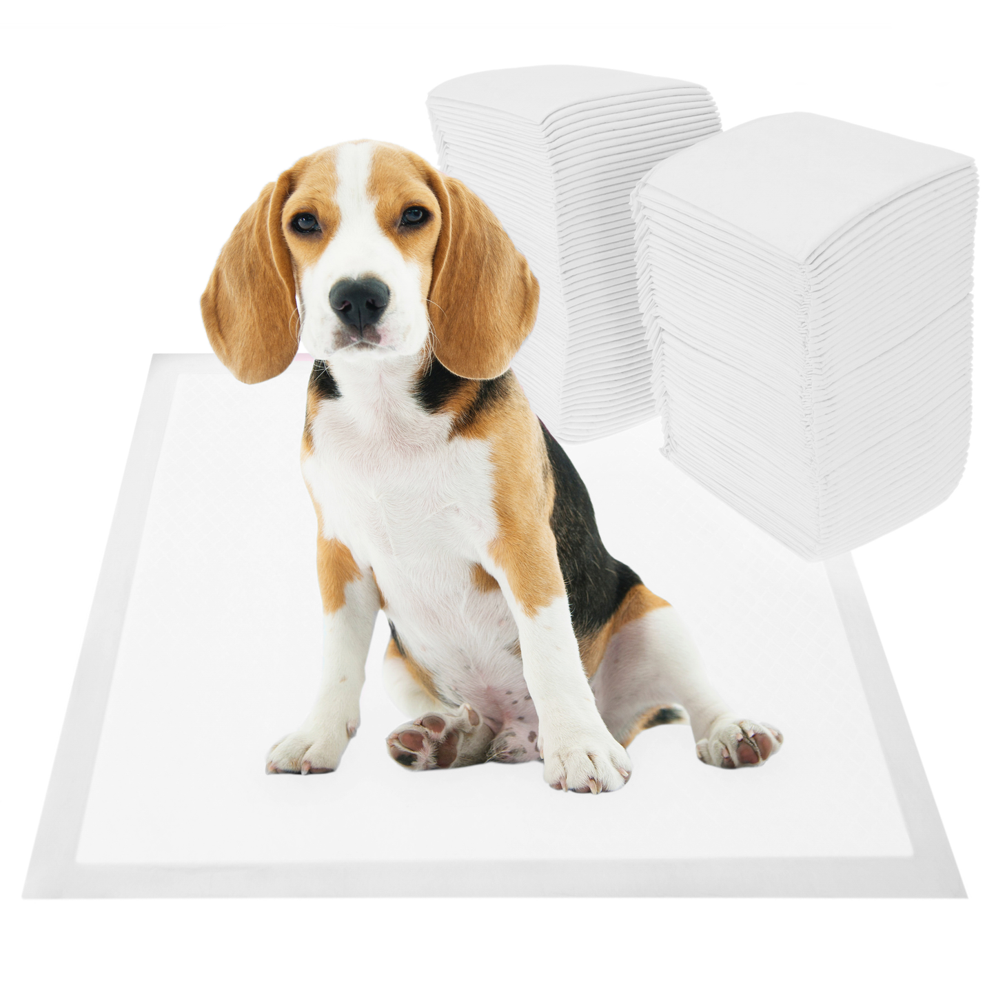 Toallas De Entrenamiento Para Perros 20 Unidades 60 X 90 Cm Color Blanco_2