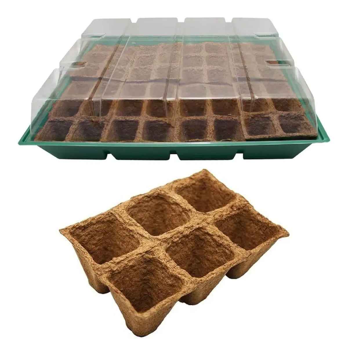 Kit de mudas Planeta Huerto L com 10 tabuleiros de substituição