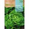 Sementes de alface Winter Wonder