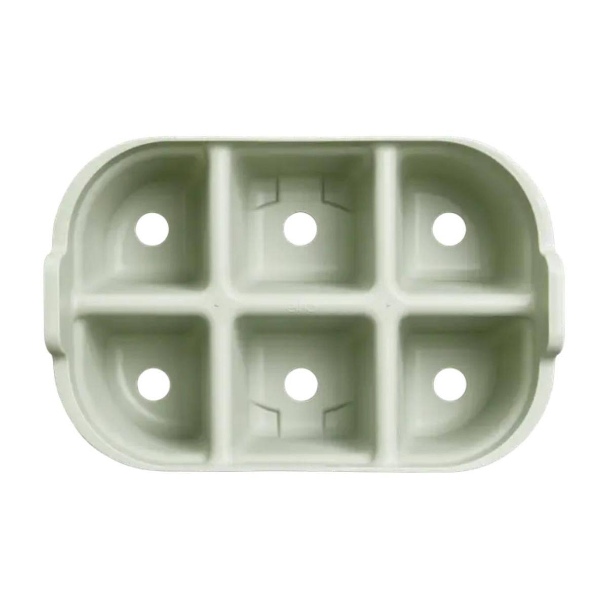 Mudas Elho Green Basics