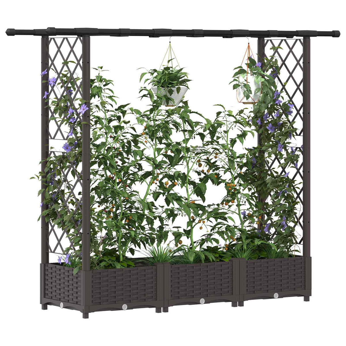 Cama Elevada Con Trellis Y Techo Marrón 164 X 40 X 121 Cm Pp_2
