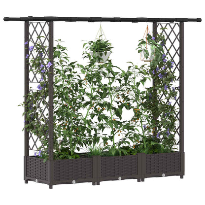 Cama Elevada Con Trellis Y Techo Marrón 164 X 40 X 121 Cm Pp_2