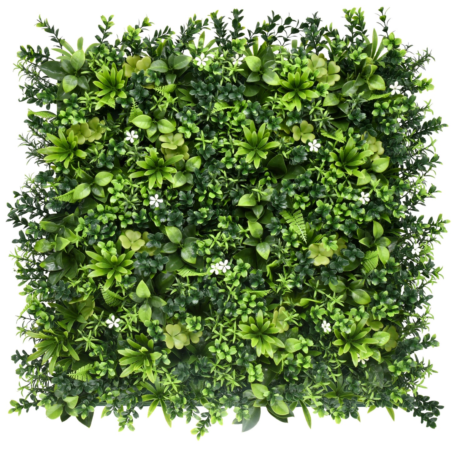 Bonerva | Jardín Vertical México | Pack 4 Piezas 50x50cm_0