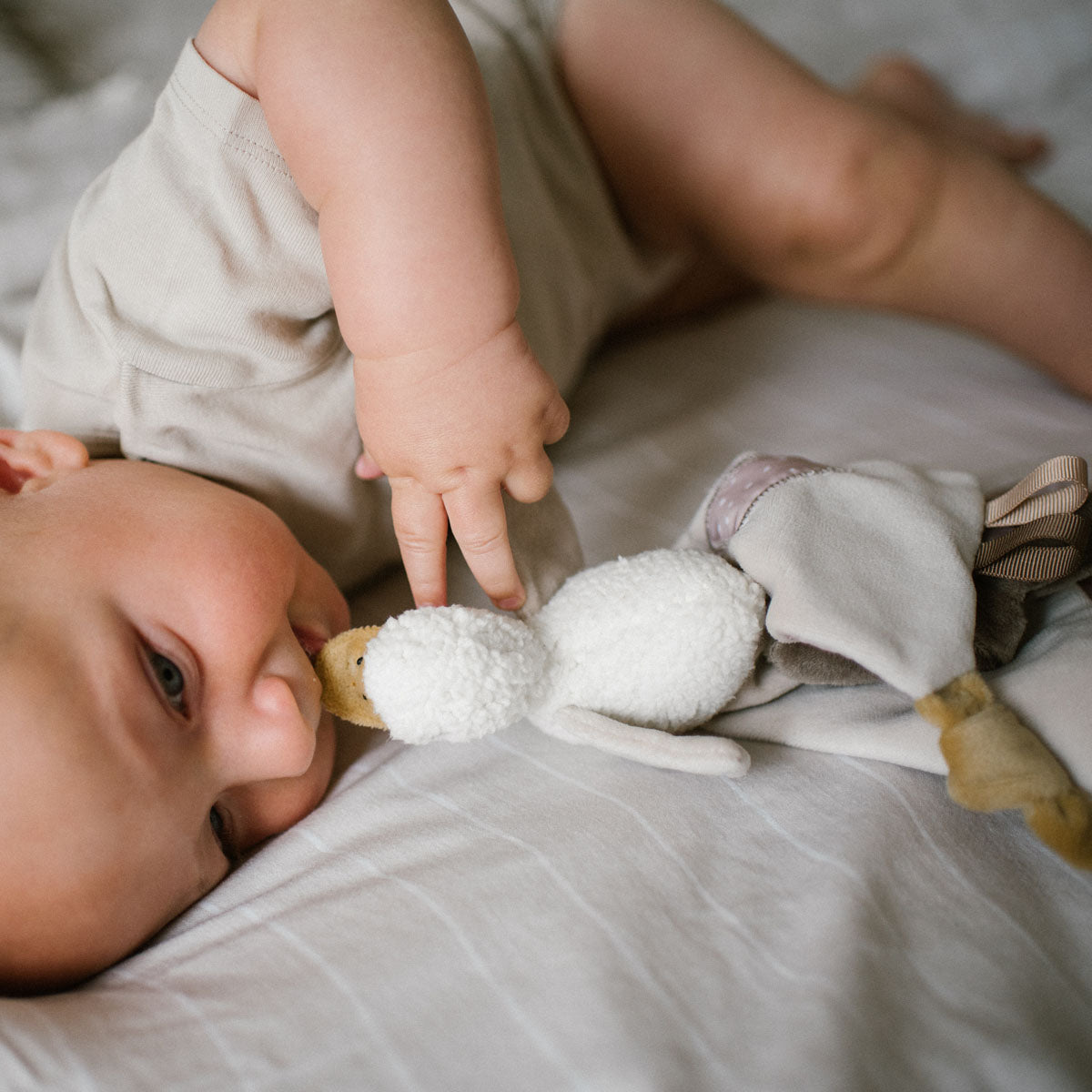 Dou Dou Peluche De Apego Ganso Zoe_3