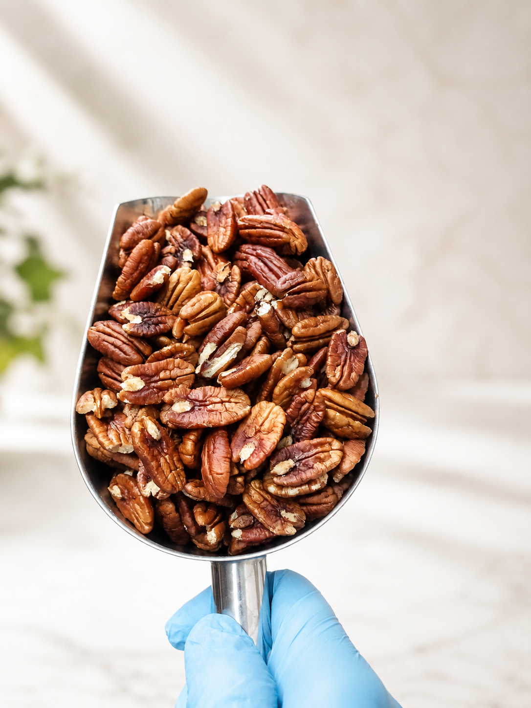 Mitades De Nuez Pecana Mantecosa - Envasadas Al Vacío - 700g | Fruto Seco Ecológico Premium, Snack Vegano Natural_3