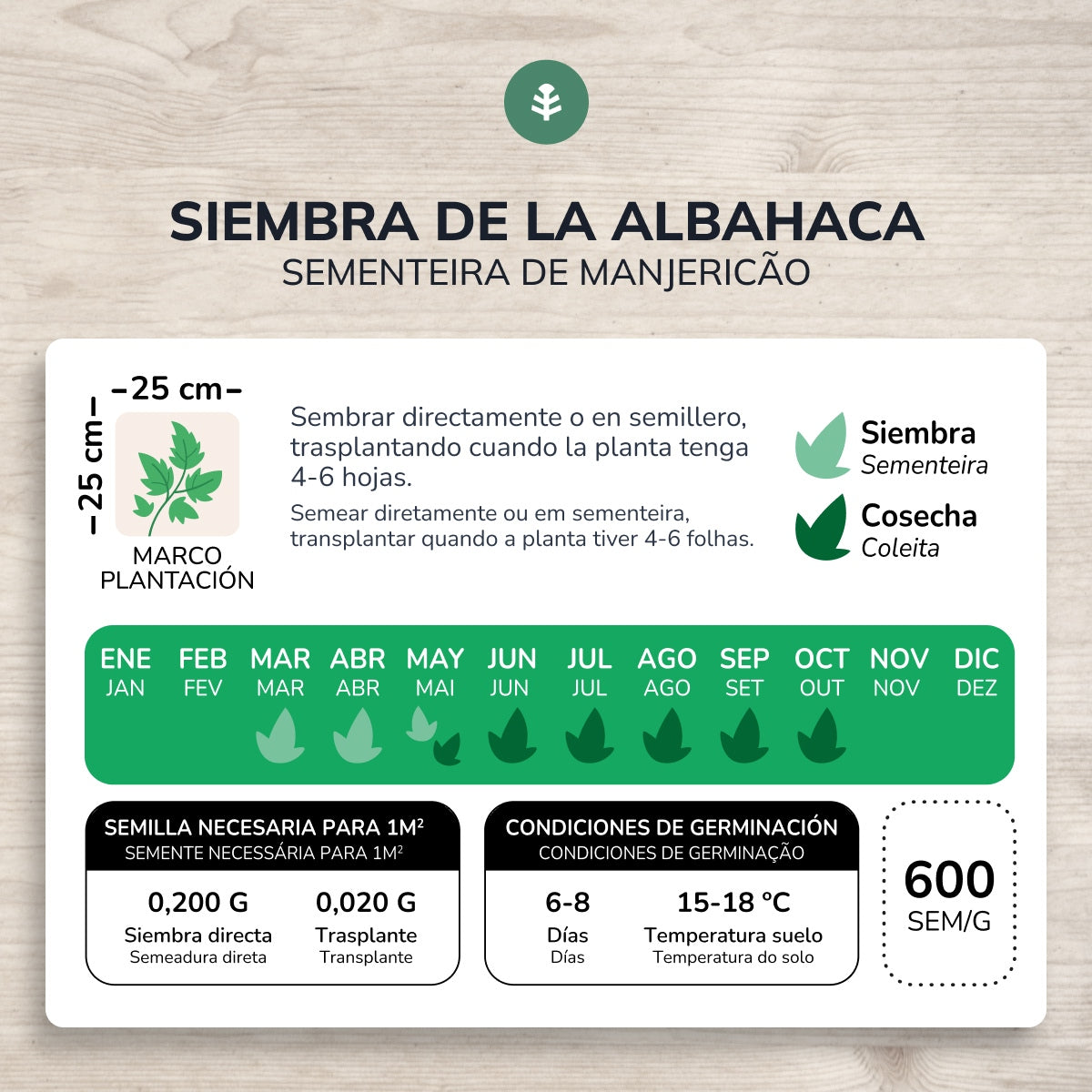 Sementes de manjericão genovês biológico Planeta Huerto