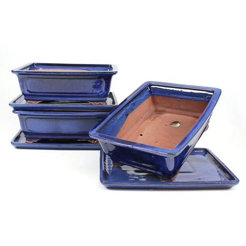 Vaso bonsai retangular 25 cm com pires azul