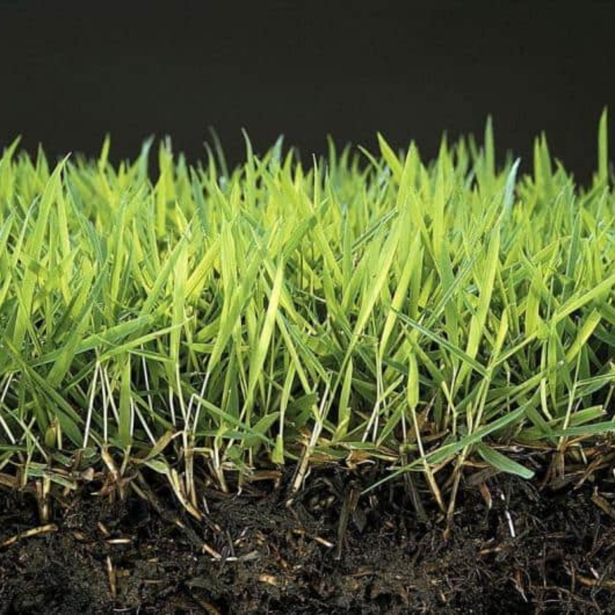 Anti Musgo Y Reverdecedor De Césped Natural Mineravi Cubo 3 Kg. (100 M2) / Granulado_1