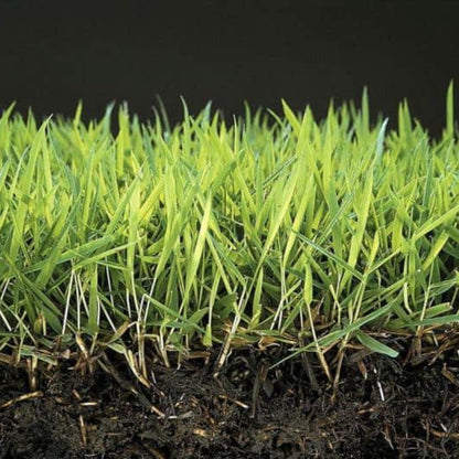 Anti Musgo Y Reverdecedor De Césped Natural Mineravi Cubo 3 Kg. (100 M2) / Granulado_1