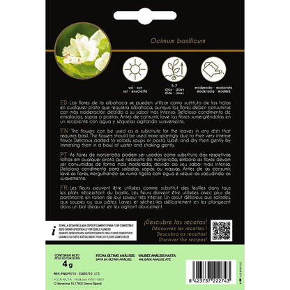 Sementes de flores comestíveis de manjericão Rocalba