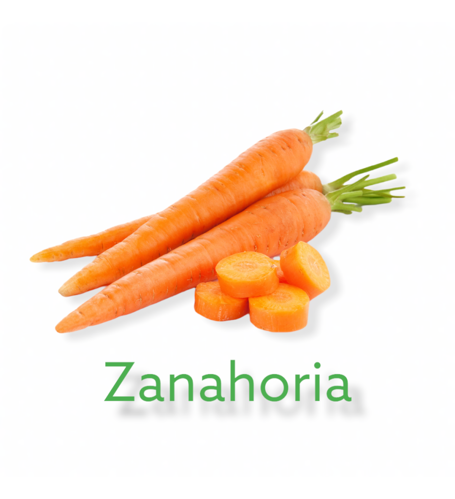 Plantón Zanahoria Naranja (10 Unidades)_0