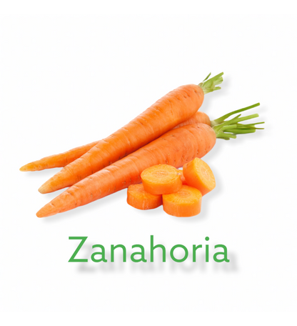 Plantón Zanahoria Naranja (10 Unidades)_0
