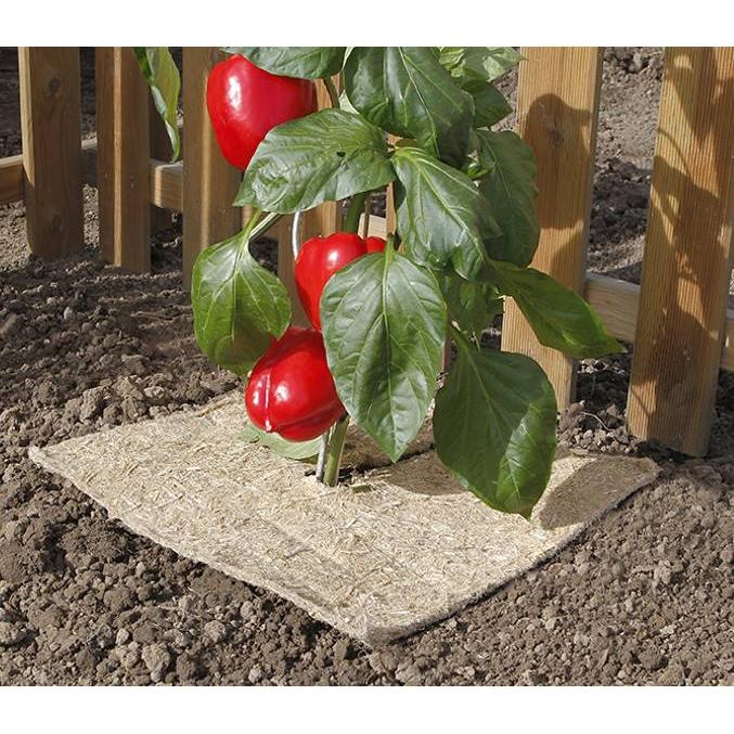 Cobertura vegetal natural anti-ervas daninhas Flaxhemp Nortene 0,75x5 m