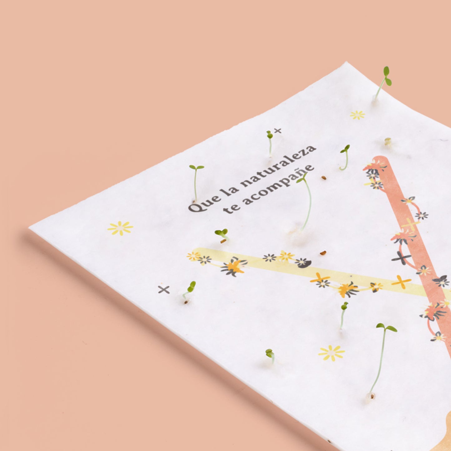 Postal Plantable "Que la Naturaleza te Acompañe" con Semillas de Flores – Tarjeta Original - Resetea_2
